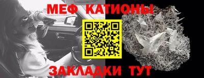 прущие грибы Брянск