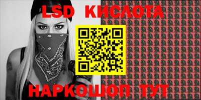 прущие грибы Брянск