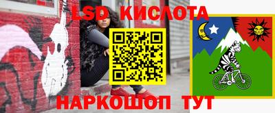прущие грибы Брянск