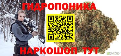 прущие грибы Брянск