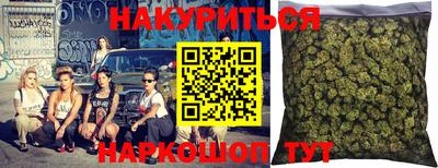 прущие грибы Брянск