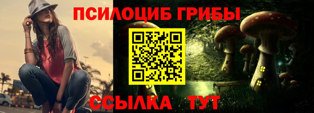 Тольятти  Псилоцибиновые грибы ЛСД  Псилоцибиновые грибы мицелий  Вход с VPN 